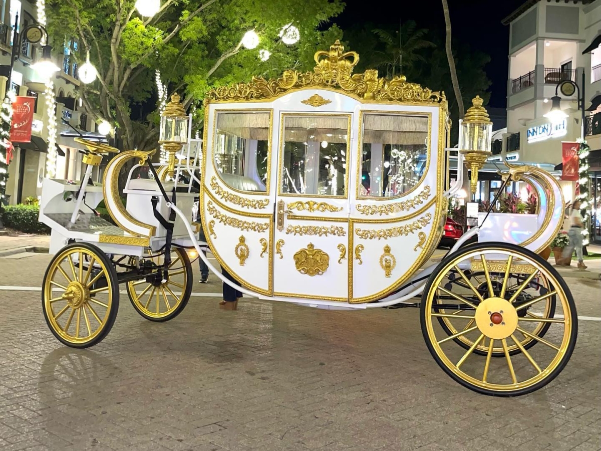 Royal horse carriage with electric power
